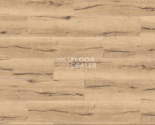 Ламинат Haro Tritty 100 Campus 4V ДУБ ИТАЛИКА КРЕМОВЫЙ 532060 фото 1 | FLOORDEALER